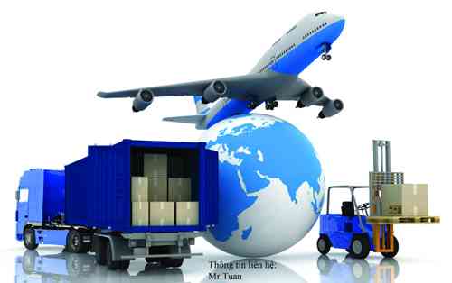 Báo cáo: CT CP cung ứng tàu biển Sài Gòn và quy trình giao nhận hàng hóa xuất nhập khẩu tại cty