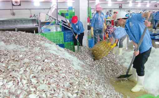 Luận văn: Cty hải sản 404 và hoạt động xây dựng chiến lược thâm nhập thị trường  EU