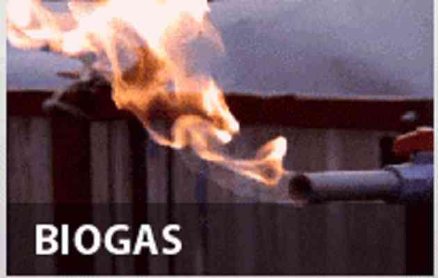 Luận văn: Hiện trạng và quá trình xử lý tạo ra khí sinh học, nghiên cứu ứng dụng của VI sinh học trong quá trình tạo ra khí sinh học BIOGA