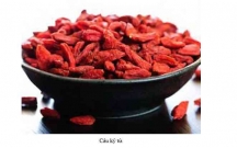 Bài thuốc quý cho người bị suy nhược cơ thể