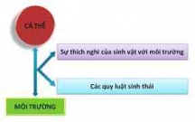 Tài liệu ôn thi tốt nghiệp THPT môn Sinh học -CHỦ ĐỀ: CÁ THỂ VÀ MÔI TRƯỜNG