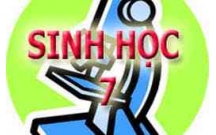 TÀI LIỆU HƯỚNG DẪN ÔN TẬP HỌC KỲ 1 MÔN SINH HỌC LỚP 7