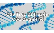 Câu hỏi trắc nghiệm sinh học 12: di truyền học quần thể