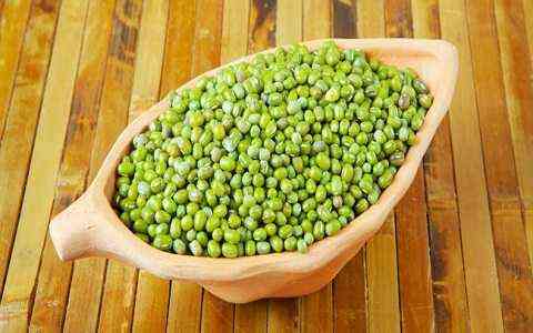 Đánh giá chất lượng hạt của một số giống đậu xanh nghiên cứu thông qua phân tích một số chỉ tiêu hoá sinh- khảo sát sự đa dạng và mối quan hệ di truyền của 30 giống đậu xanh bằng kỹ thuật RAPD