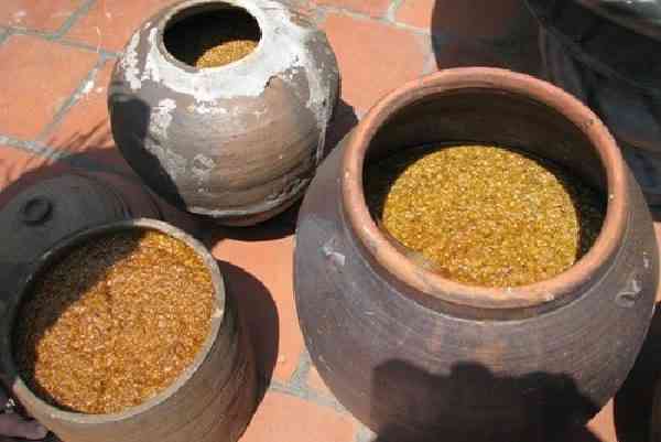 Đánh giá thực trạng phát triển làng nghề tương Bần, và đề ra những giải pháp nhằm bảo tồn và phát triển làng nghề tương Bần