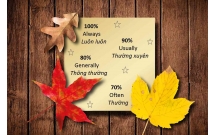 Trạng từ tần suất trong tiếng anh