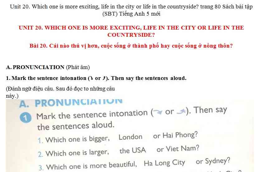 Hướng dẫn GBT trong sách bài tập tiếng Anh lớp 5 bài số 20